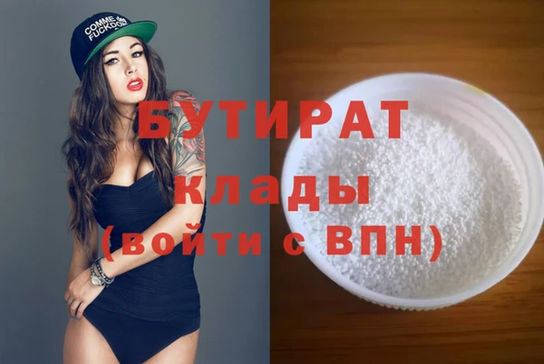 МДПВ Бородино