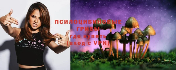 амф Богородск