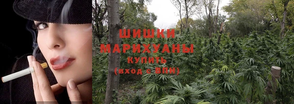 МДПВ Бородино